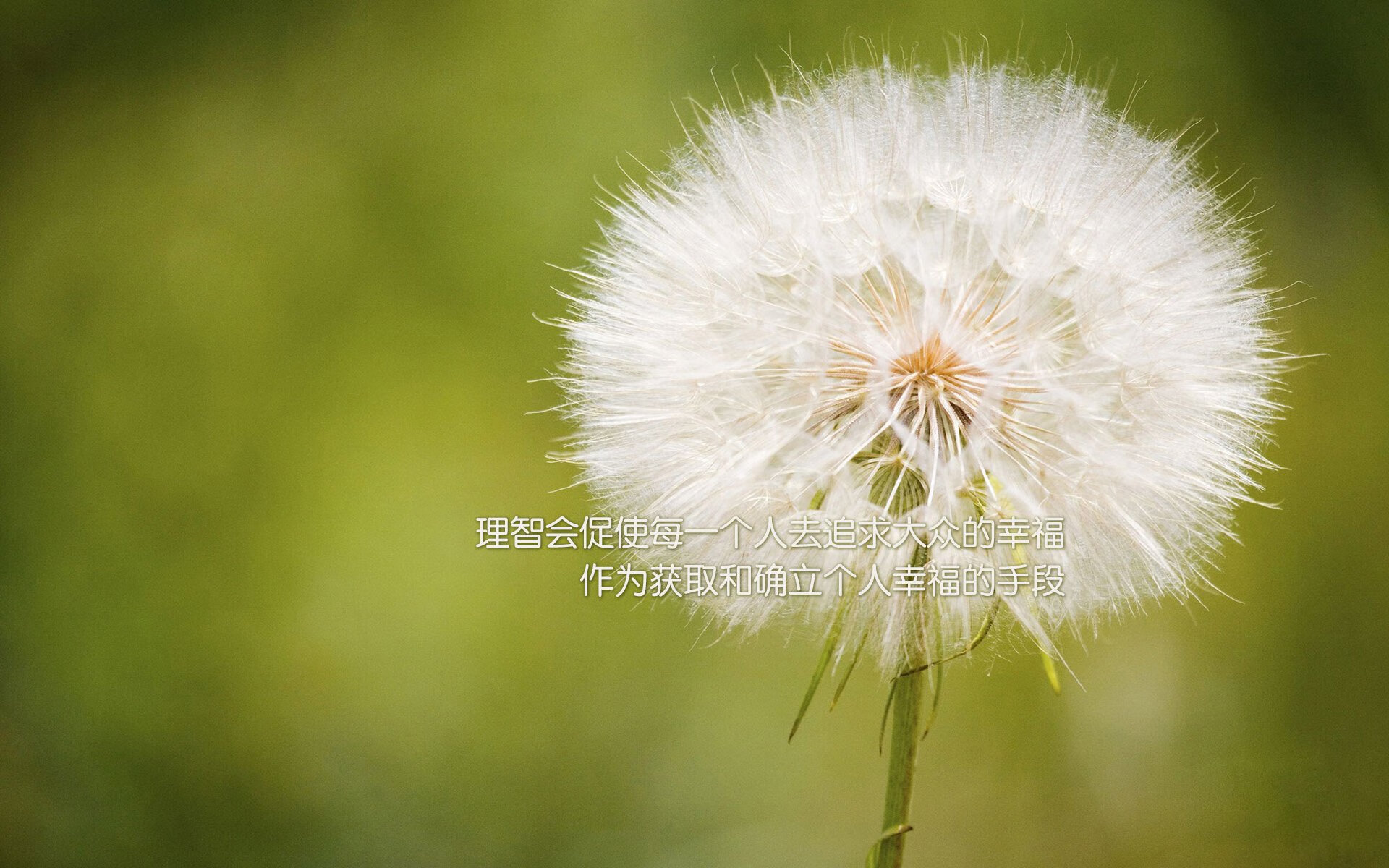 Jiuyou-美洲队备战墨西哥联赛杯，力争夺冠，墨西哥参加美洲杯战绩