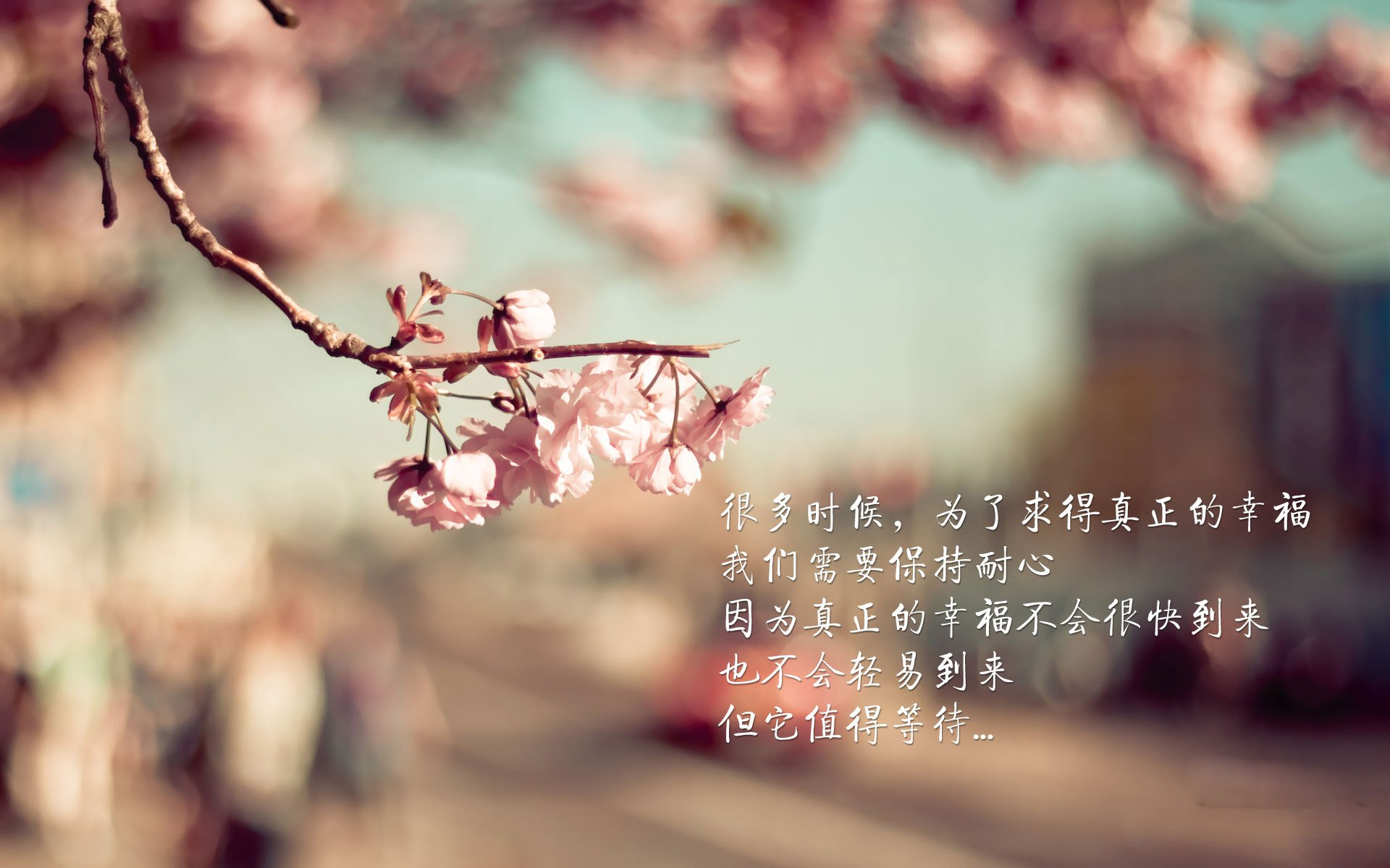 总决赛中节奏对胜负的关键作用,节奏型中场