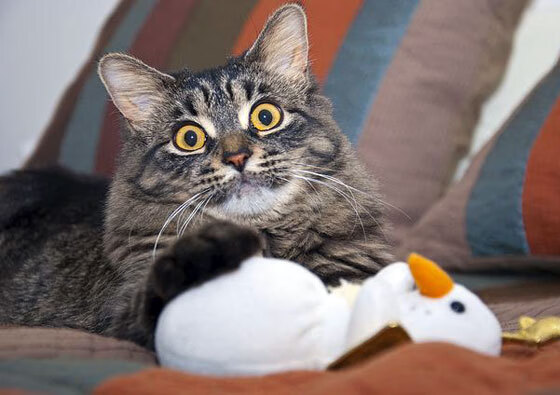 VAR判罚引争议,裁判吹罚标准再遭热议,var裁判有几个