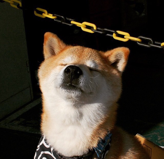 乌拉圭女篮在南美锦标赛中表现优异,迈向国际舞台,乌拉圭篮球联赛2021