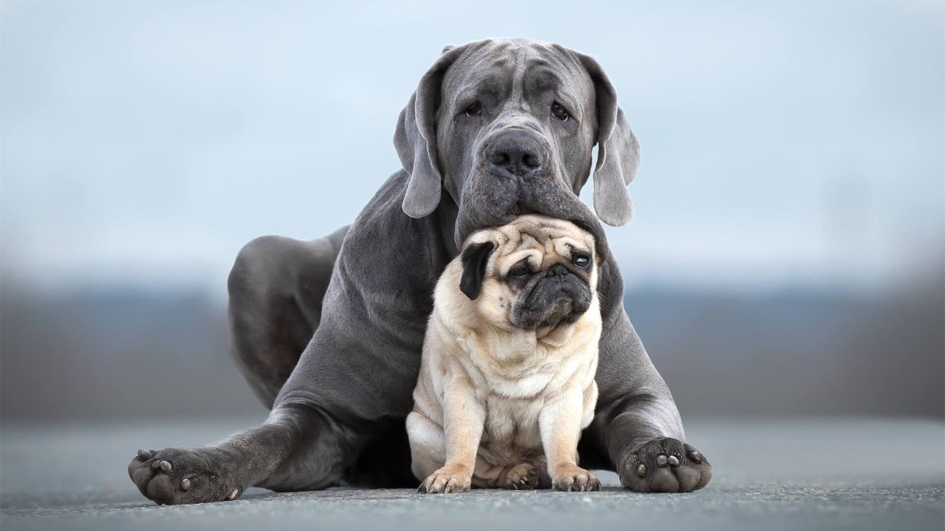 安东·李恩:他以出色的视野和精准的传球,帮助全黑队打破僵局