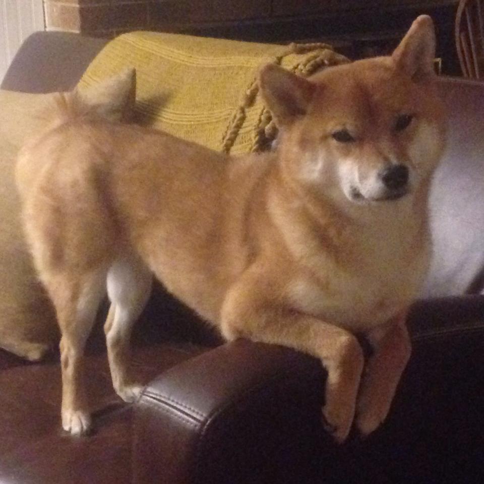 JiuyouAPP下载-马里特·斯滕伯根展现强大爆发力，马尔滕·斯特克伦博格