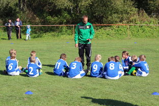 九游娱乐APP-中国篮球教练员在比赛中决策行为研究，篮球教练员行为准则