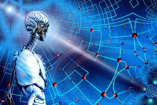 九游（jiuyou.com）游戏-高校运动训练科学管理模式创新，科学的运动训练管理系统应包含哪些方面